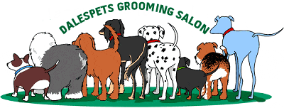 animated dog grooming
